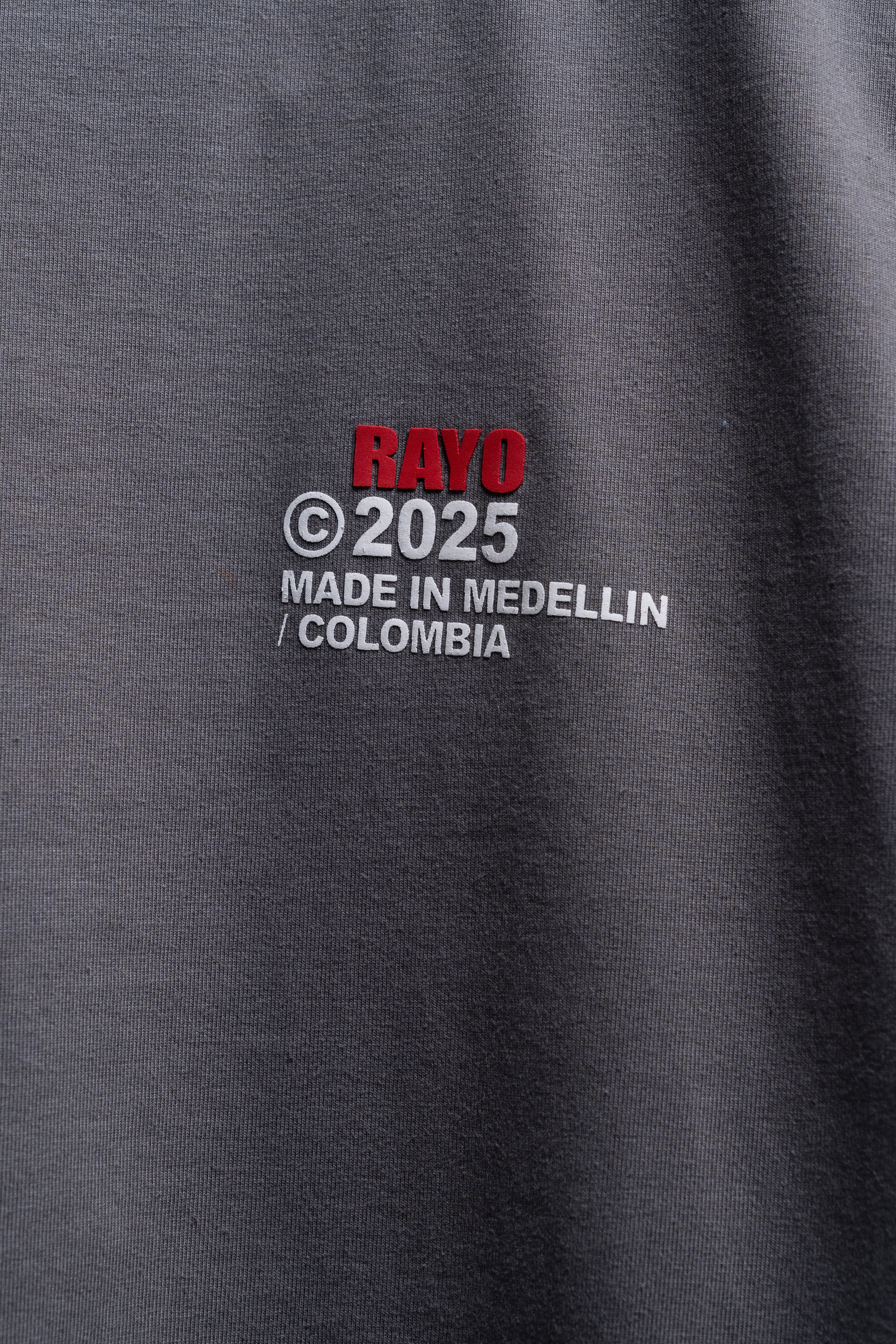 RAYO TOUR 2025 GREY T-SHIRT - Image 3